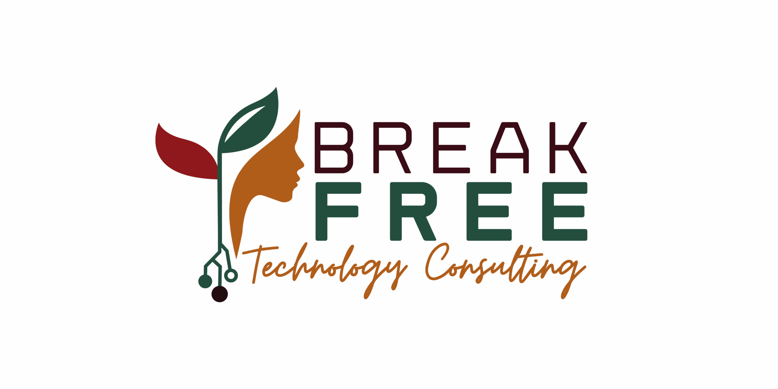 Break Free Technology Consulting